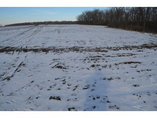 54.7 Acres with 50 tillable and 4.3 wooded.  Surrounded by heavy deer population on CRP land.  Great trophy deer hunting on established food plots.  Hunting tower.

Receive income on tillable acres while abundance of deer hunting on established food plot. - Great Investment Opportunity - Tillable Land, Recreation & Building Site